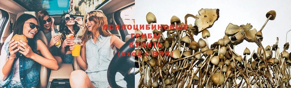 твердый Куйбышев