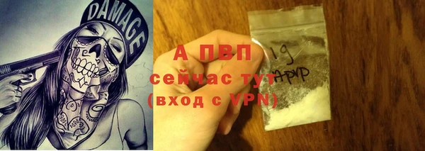 ПСИЛОЦИБИНОВЫЕ ГРИБЫ Краснотурьинск