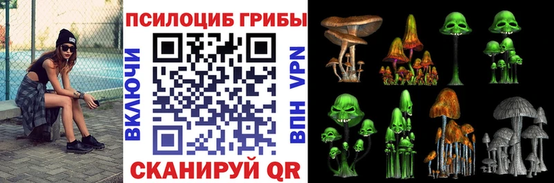 Купить закладки  Павлово  Псилоцибиновые грибы MAGIC MUSHROOMS 